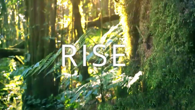 RISE – An Introduction